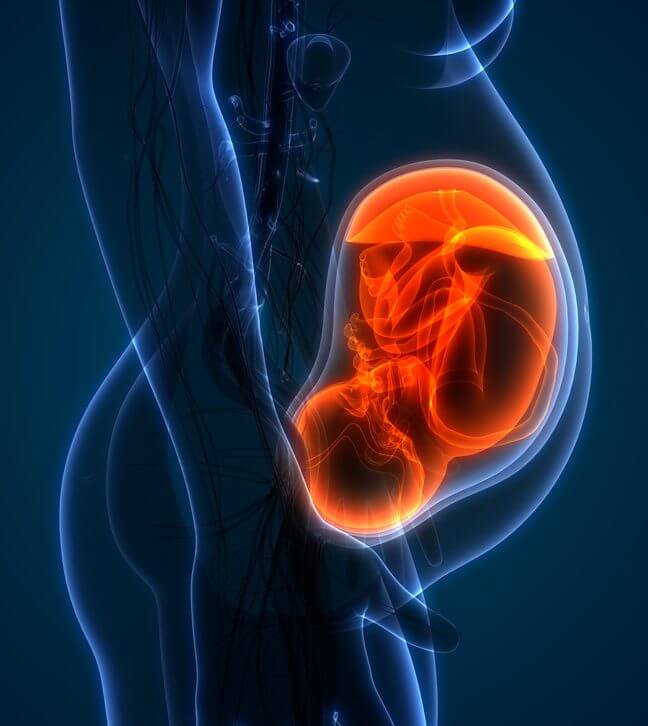 Toxic Burden and Reproductive Harm Holistic Immune Support