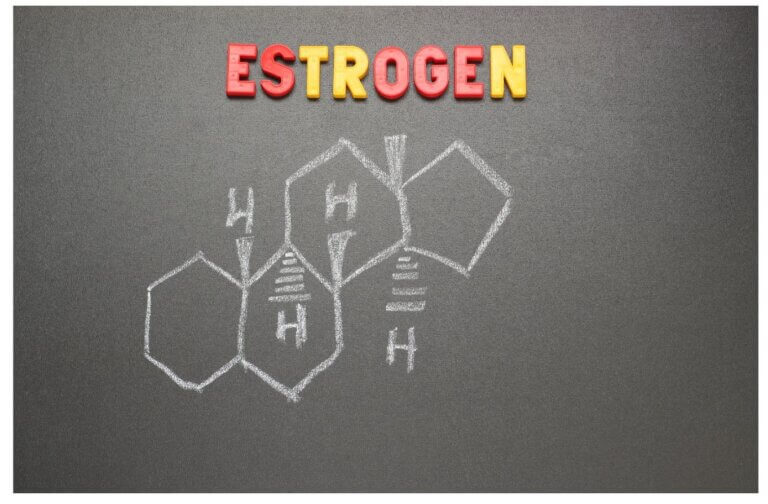 Xenoestrogens Wreck Hormones—Here's Where They're Hiding